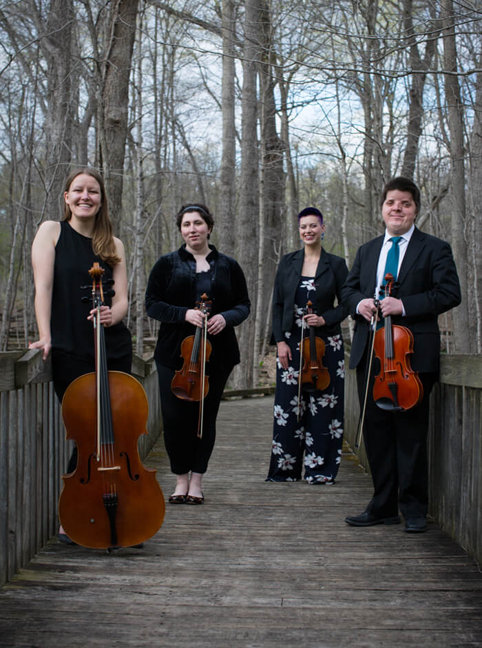 About Kalkaska String Quartet in Michigan